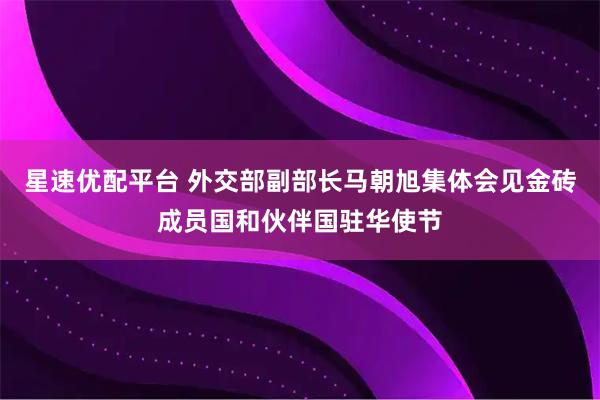 星速优配平台 外交部副部长马朝旭集体会见金砖成员国和伙伴国驻华使节