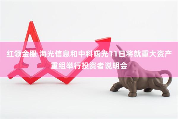 红领金服 海光信息和中科曙光11日将就重大资产重组举行投资者说明会