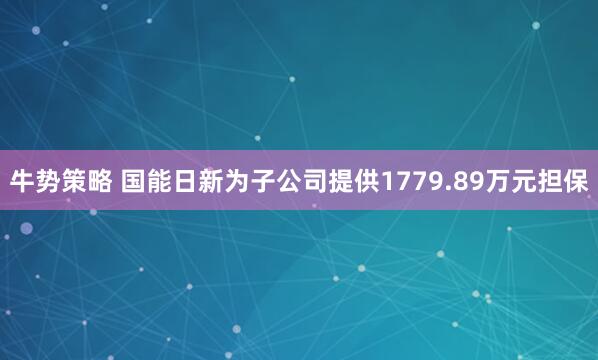 牛势策略 国能日新为子公司提供1779.89万元担保