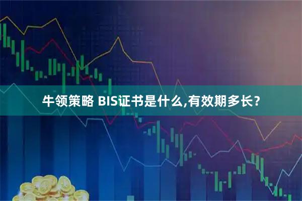 牛领策略 BIS证书是什么,有效期多长？