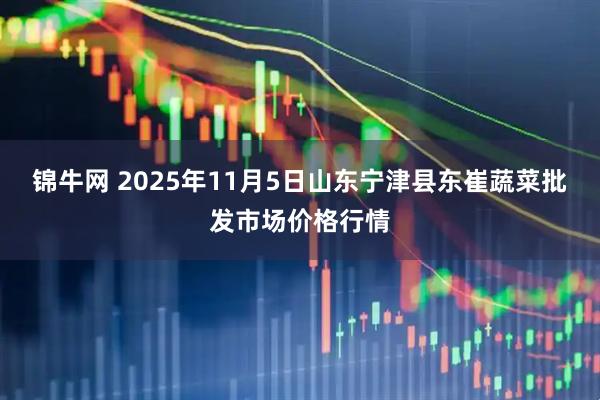 锦牛网 2025年11月5日山东宁津县东崔蔬菜批发市场价格行情