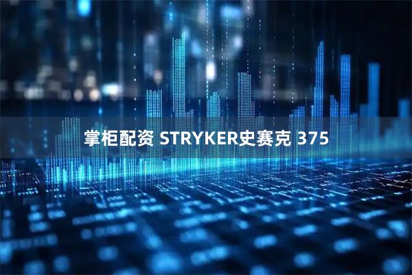 掌柜配资 STRYKER史赛克 375
