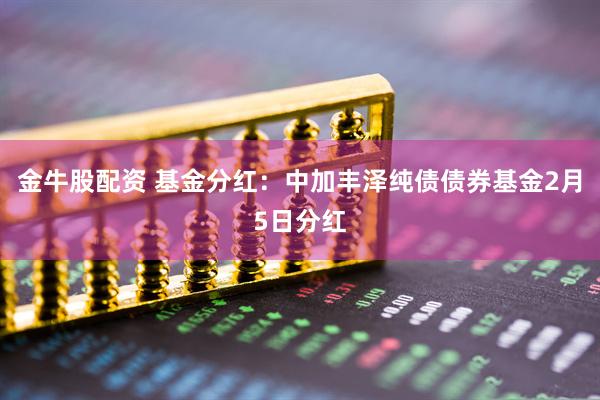 金牛股配资 基金分红：中加丰泽纯债债券基金2月5日分红